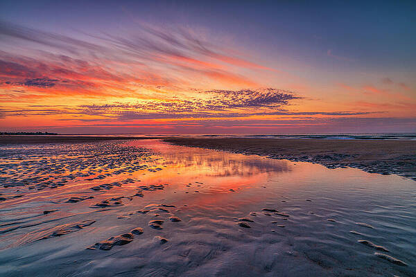 Wall Art featuring the photograph Morning Magic by Penny Polakoff