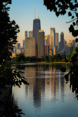 Reflection Wall Art featuring the photograph Morning On Chicago's South Lagoon by Owen Weber