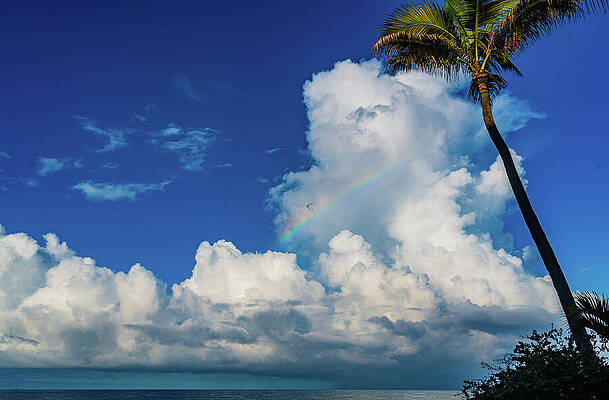Photograph - Morning Rainbow Clouds Mazatlan Mexico by Tommy Farnsworth