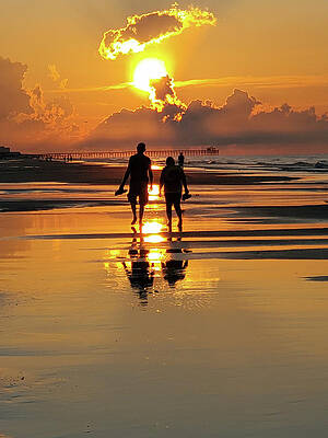South Carolina Wall Art featuring the photograph Morning Stroll by Brian Hare