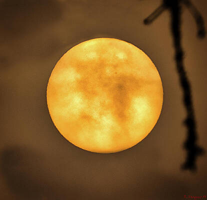 Sky Wall Art featuring the photograph Morning Sun Through Clouds by Rene Vasquez