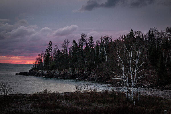 Wall Art featuring the photograph Morning's Glory by Linda Triplett