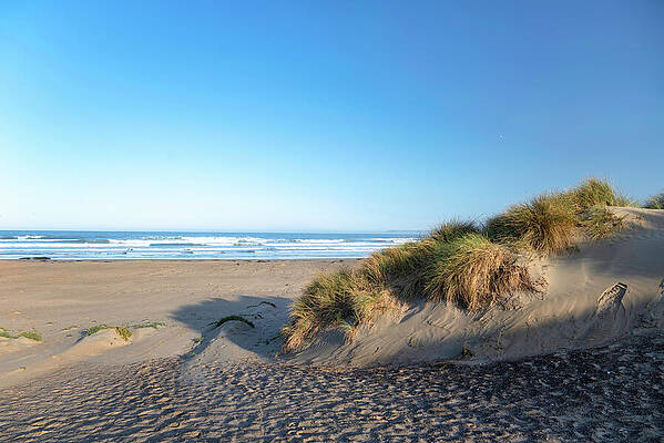 Wall Art featuring the photograph Morro Bay Sand Dunes by Matthew DeGrushe