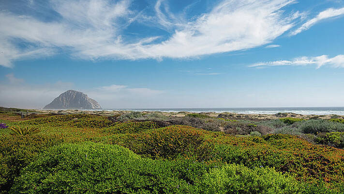 Wall Art featuring the photograph Morro Bay State Beach by Matthew DeGrushe