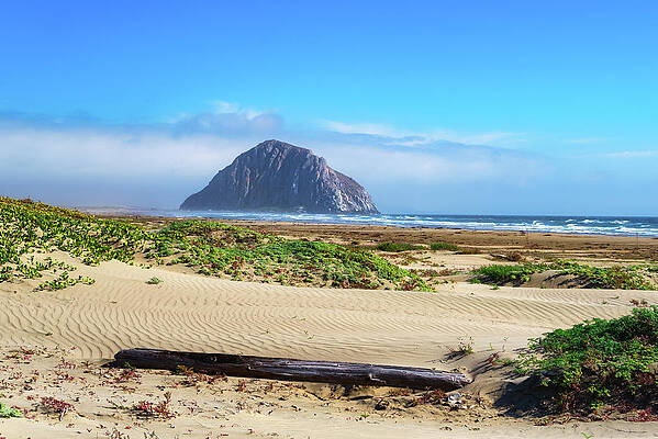 Wall Art featuring the photograph Morro Rock From The Beach by Matthew DeGrushe