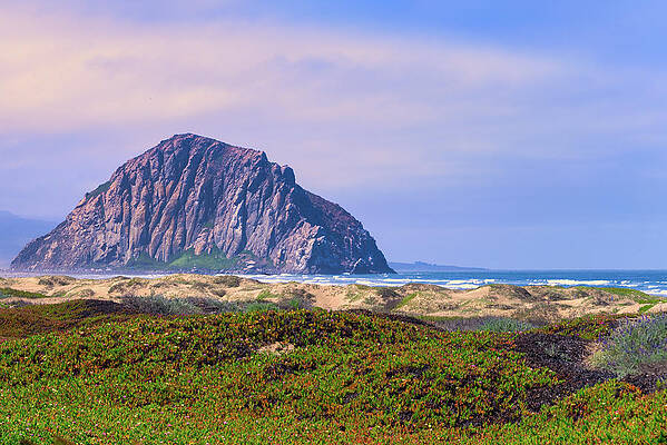 Wall Art featuring the photograph Morro Rock by Matthew DeGrushe