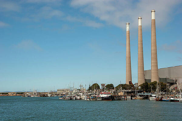 Wall Art featuring the photograph Morro Stacks by Gina Cinardo
