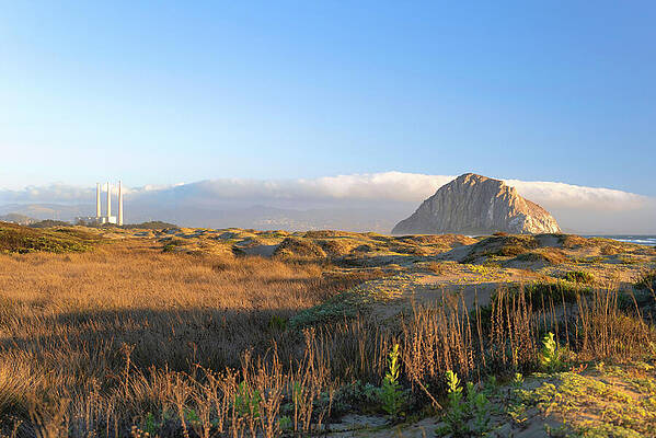 Wall Art featuring the photograph Morro Strand State Beach by Matthew DeGrushe