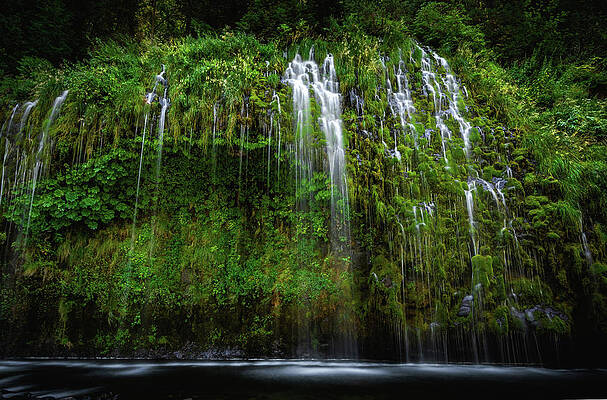 Moody Photograph - Mossbrae Falls - Looking Up - California by Abbie Warnock