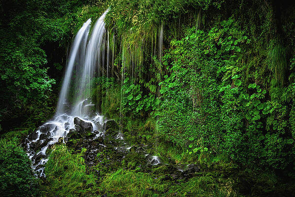 Moody Photograph - Mossbrae Falls Main Waterfall Closeup, California by Abbie Warnock