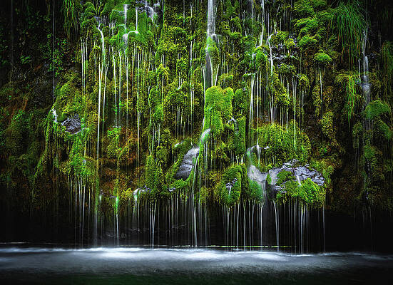 Moody Photograph - Mossbrae Falls Weeping Wall, California by Abbie Warnock