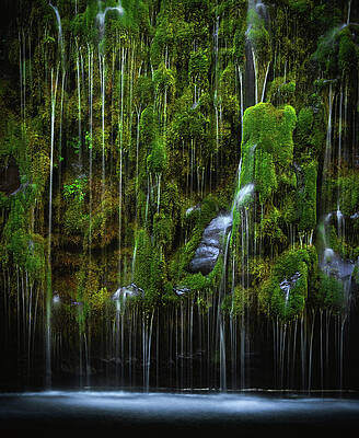 Moody Photograph - Mossbrae Falls Weeping Wall, California - Vertical by Abbie Warnock