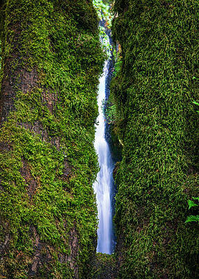 Narrow Forest Waterfall Photograph