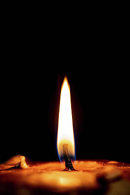 Moody Wall Art featuring the photograph Moth To The Flame by Nova Rae