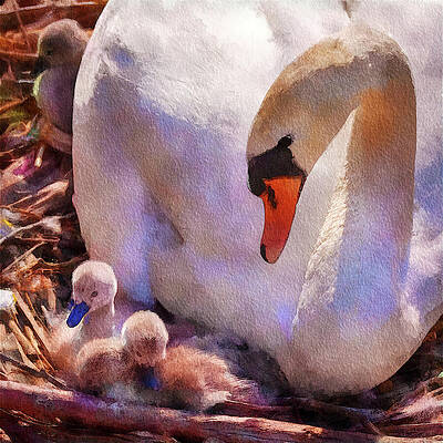 Germany Wall Art featuring the mixed media Mother Swan At Springtime by Tatiana Travelways
