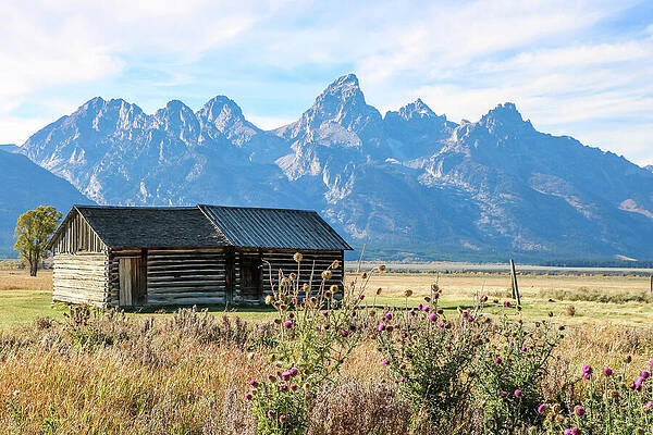 Fall Wall Art featuring the photograph Moulton Homestead by Dawn Richards