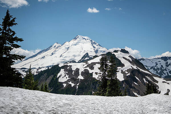 Snow-Capped Mountain Vista Wall Art