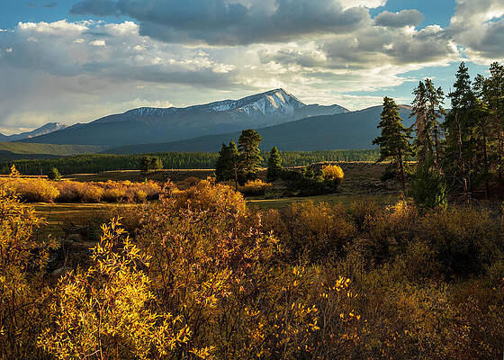 Wall Art featuring the photograph Mount Elbert Autumn Foliage by Dan Sproul