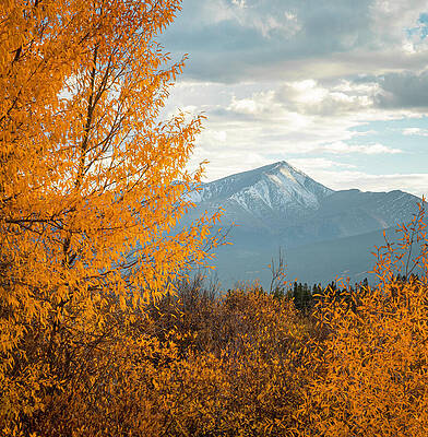 Wall Art featuring the photograph Mount Elbert In Autumn by Dan Sproul