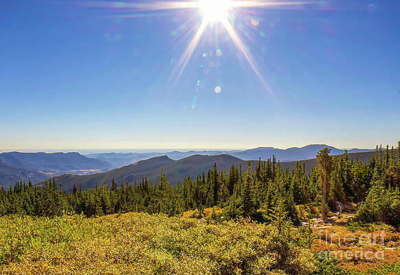 Colorado Wall Art featuring the photograph Mount Goliath by Shirley Dutchkowski