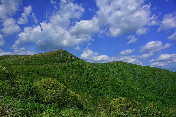 Mount Hawksbill From Crescent Rock Print