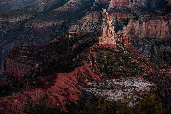 Nps Photograph - Mount Hayden by Matt Halvorson