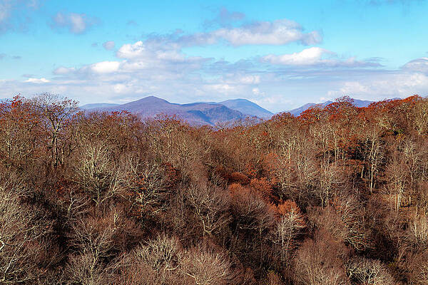 Serene Wall Art featuring the photograph Mount Jefferson View by Cindy Robinson