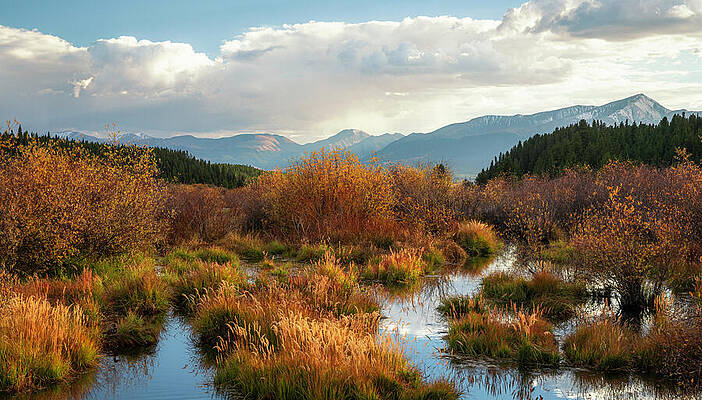 Wall Art featuring the photograph Mount Massive Wilderness In Fall by Dan Sproul