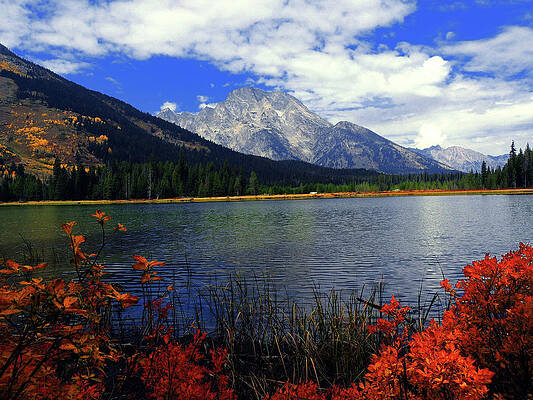 Wyoming Wall Art featuring the photograph Mount Moran In The Fall by Raymond Salani III