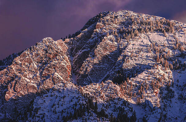 Mountain Photograph - Mount Olympus - Purple by Abbie Warnock