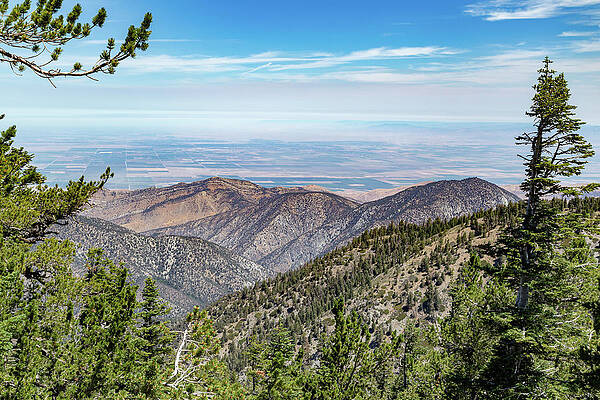 California Wall Art featuring the photograph Mount Pinos, California 3 by Cindy Robinson
