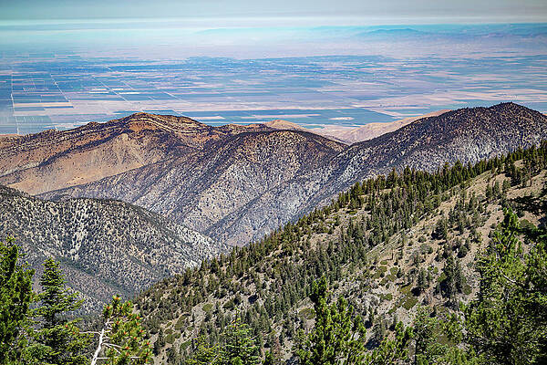 California Wall Art featuring the photograph Mount Pinos, California 4 by Cindy Robinson