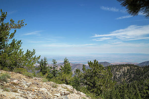 California Wall Art featuring the photograph Mount Pinos, California 5 by Cindy Robinson
