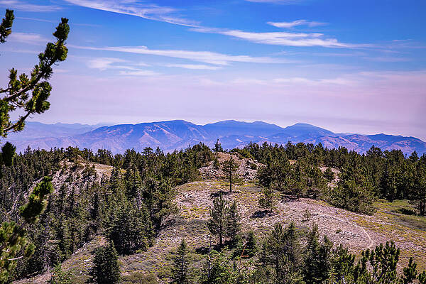 California Wall Art featuring the photograph Mount Pinos, California 6 by Cindy Robinson