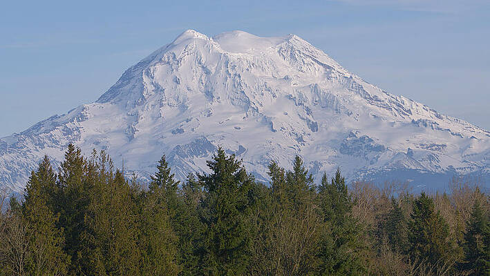 Mount Rainier Above the Trees by Carl Prothman