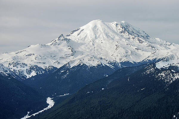 Wall Art featuring the photograph Mount Rainier And White River Valley View From Crystal Mountain by Nancy Gleason