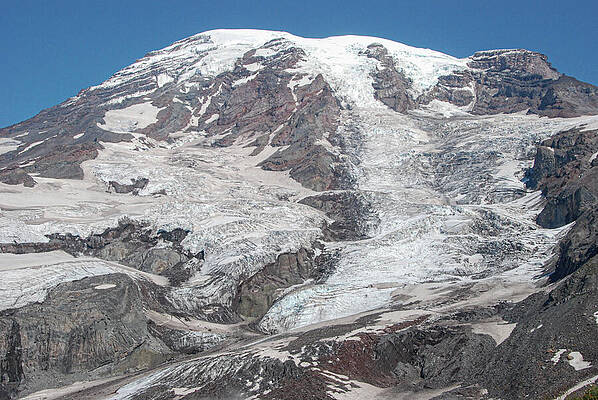 Wilderness Wall Art featuring the photograph Mount Rainier Close-up From Paradise Trail In Mount Rainier NP #2 by Nancy Gleason