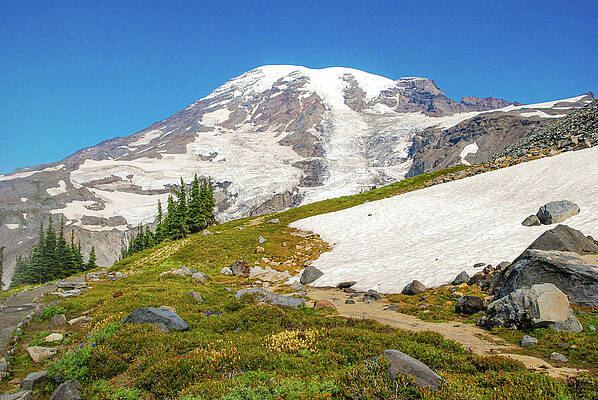 Wilderness Wall Art featuring the photograph Mount Rainier From Paradise Trail In Mount Rainier National Park by Nancy Gleason