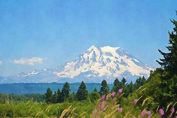 Serene Photograph - Mount Rainier Watercolor by Tatiana Travelways