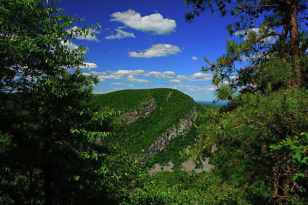 Wall Art featuring the photograph Mount Tammany From Mount Minsi Framed By Trees by Raymond Salani III