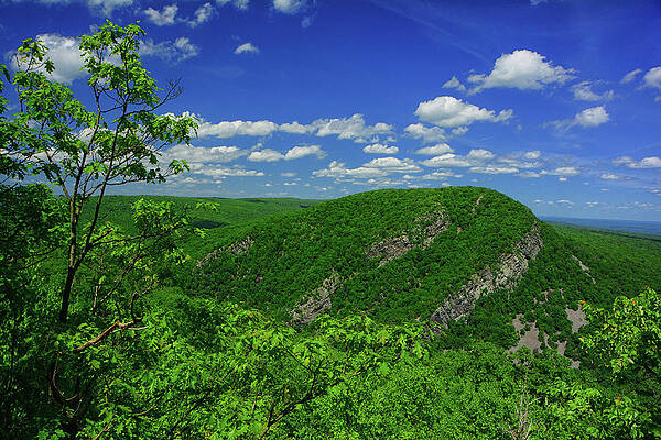 Wall Art featuring the photograph Mount Tammany From Mount Minsi On The PA Appalachian Trail With Spring Green 2 by Raymond Salani III