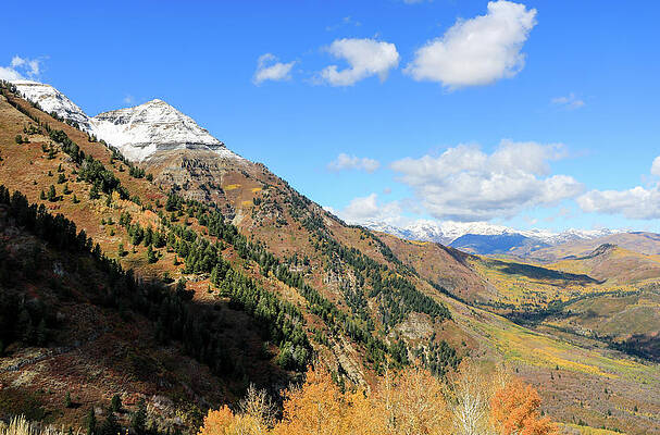 Utah Wall Art featuring the photograph Mount Timpanogos And Valley 1 by Dawn Richards