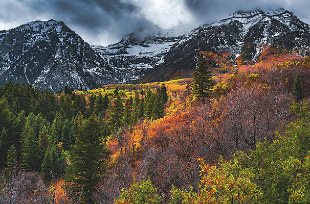 Color Photograph - Mount Timpanogos Autumn by Abbie Warnock