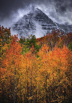 American Photograph - Mount Timpanogos Autumn Colors, Utah - Vertical by Abbie Warnock