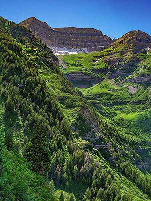 Mountain Photograph - Mount Timpanogos In Summer, Utah - Vertical by Abbie Warnock