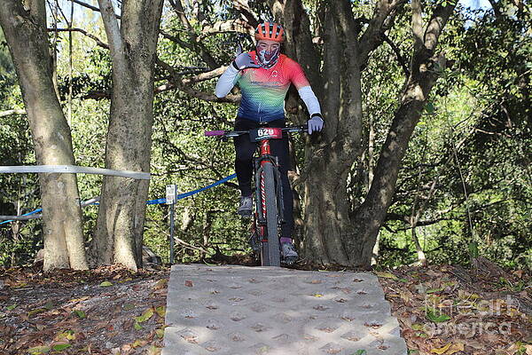 Mountain Biker in Action Wall Art