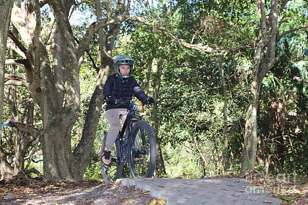 Mountain Biker in Forest Trail Wall Art