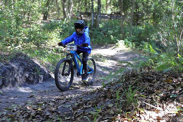 Mountain Biker in Forest Trail Wall Art