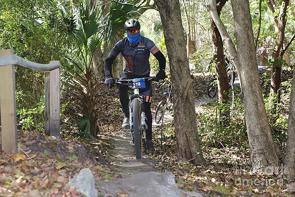 Mountain Biker Navigating Wooded Trail Wall Art