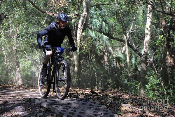 Mountain Biker on Forest Trail Wall Art